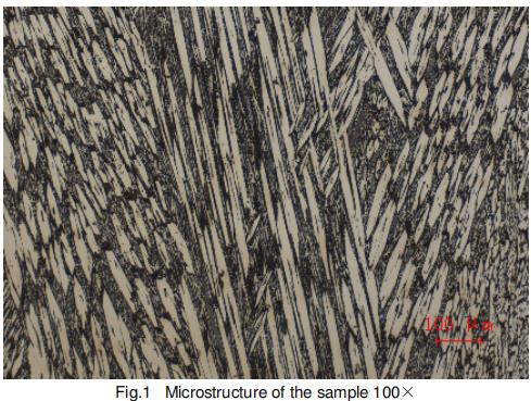 Microstructure of CCO Plate Wear-resistant Layer